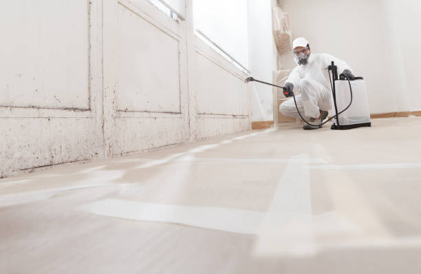 24/7 Emergency Mold Inspection experts in Woodbine, GA
